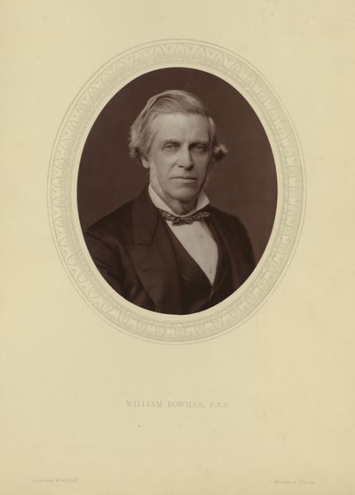 Portrait of Sir William Bowman by Lock and Whitfield